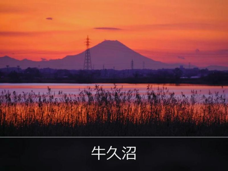 ROOM Ryugasakiの写真