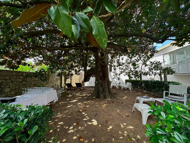 Bed & Breakfast- La Villa Lopudの写真