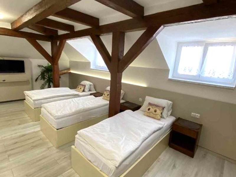 Hotel U Radnice Aš (Hotel U Radnice As)の写真