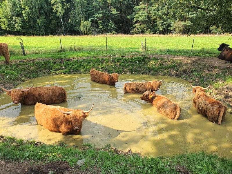 Farma Horní Paseky u Aše (Farma Horni Paseky u Ase)の写真