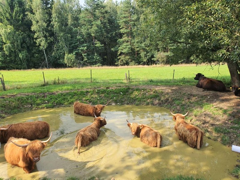 Farma Horní Paseky u Aše (Farma Horni Paseky u Ase)の写真