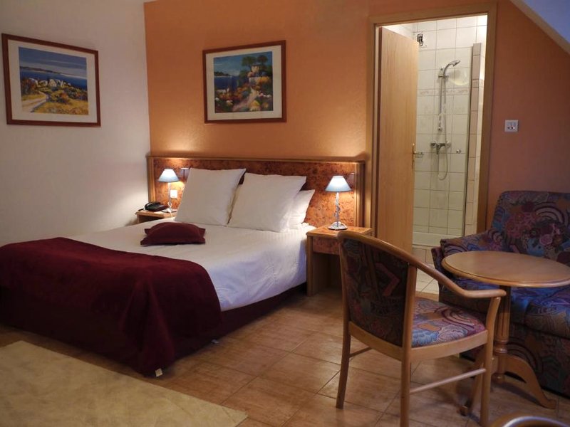 Hôtel sud alsace (Hotel sud alsace)の写真
