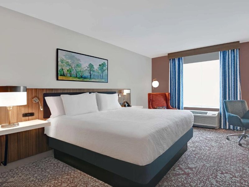 Hilton Garden Inn Madison Huntsville Airportの写真