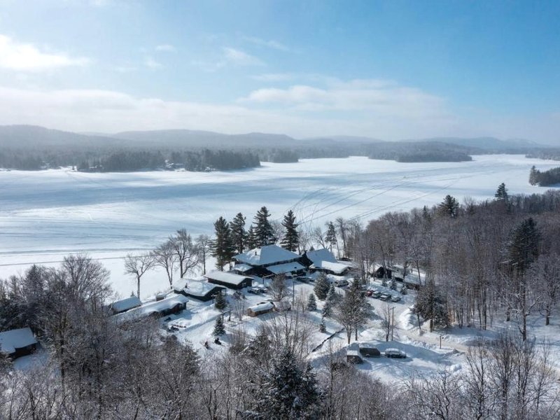 Great Pinesの写真