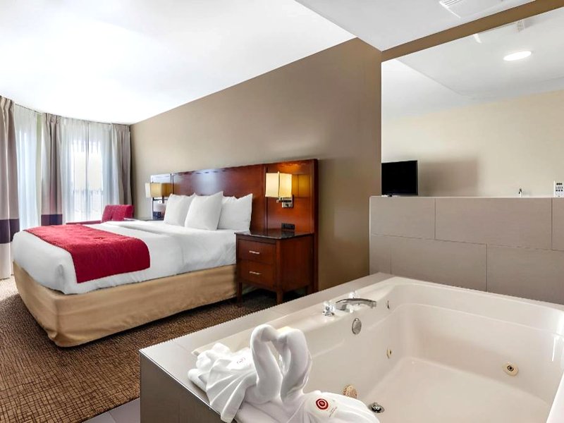 コンフォート イン&スイーツ ジェノバ ウエスト シカゴ (Comfort Inn & Suites Geneva- West Chicago)の写真