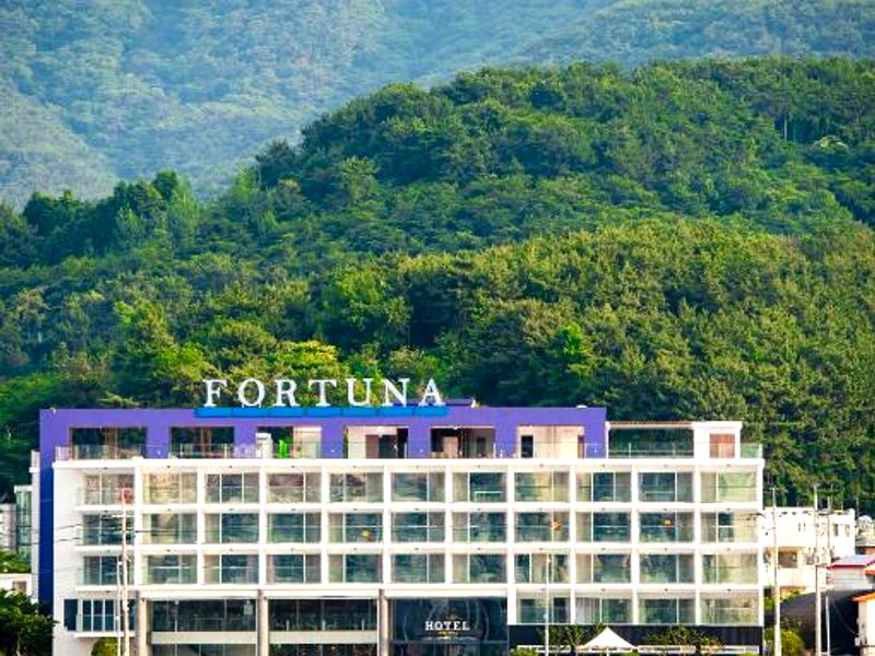 Fortuna Hotelの写真