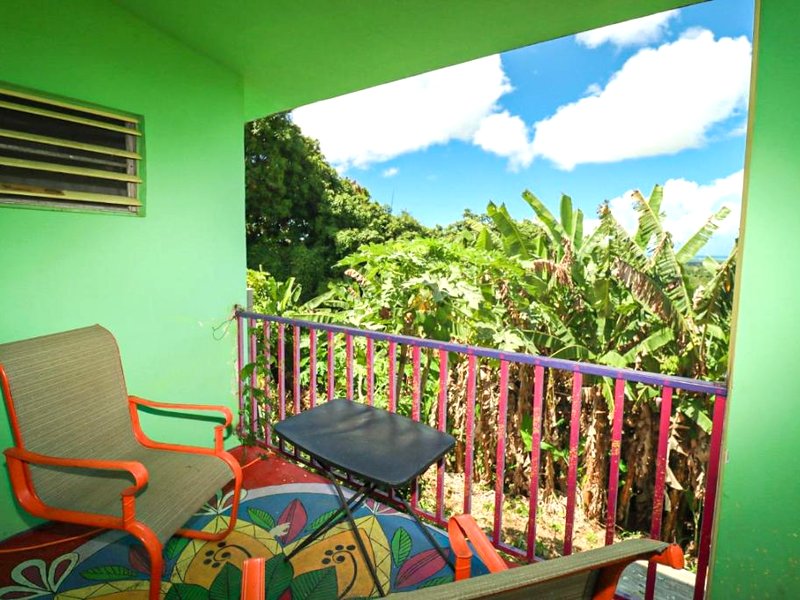 La Casa de Vida Naturalの写真