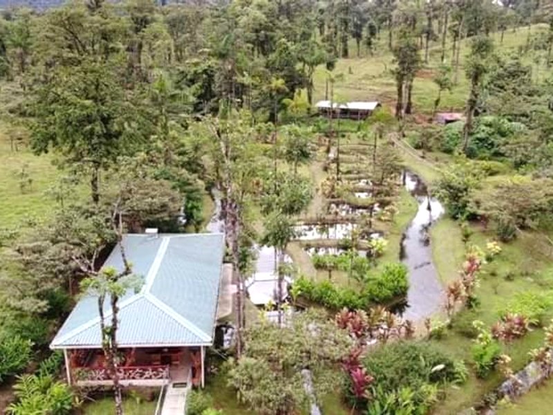 Cabañas Los Laguitos Rio Celeste (Cabanas Los Laguitos Rio Celeste)の写真