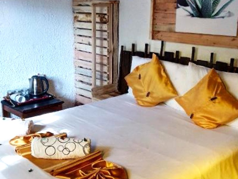 エレファント トレイル ゲストハウス アンド バックパッカーズ (Elephant Trail Guesthouse and Backpackers)の写真