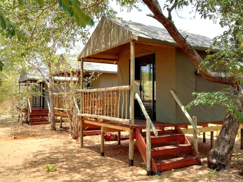 エレファント トレイル ゲストハウス アンド バックパッカーズ (Elephant Trail Guesthouse and Backpackers)の写真