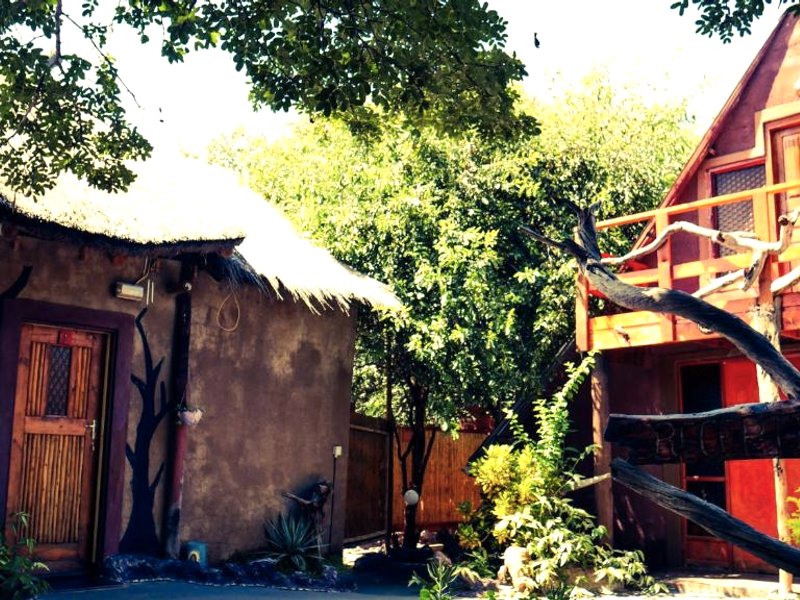 エレファント トレイル ゲストハウス アンド バックパッカーズ (Elephant Trail Guesthouse and Backpackers)の写真