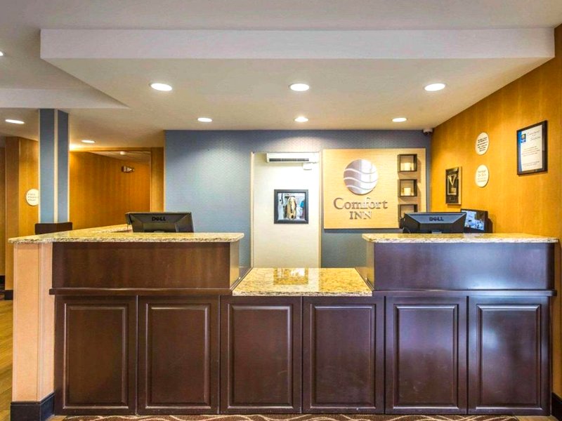 コンフォート イン ユニバーシティ (Comfort Inn University)の写真