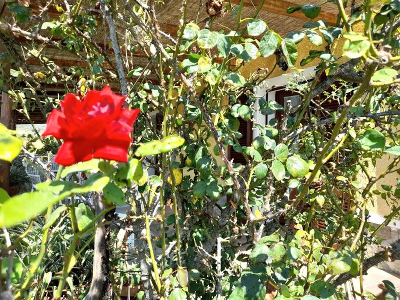 Le Colline Del Parcoの写真