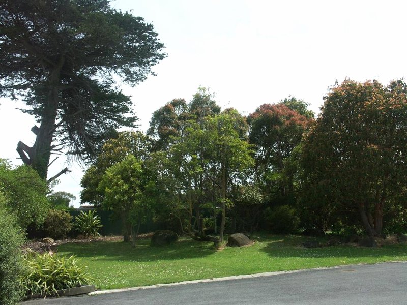 メラレウカ モーテル (Melaleuca Motel)の写真