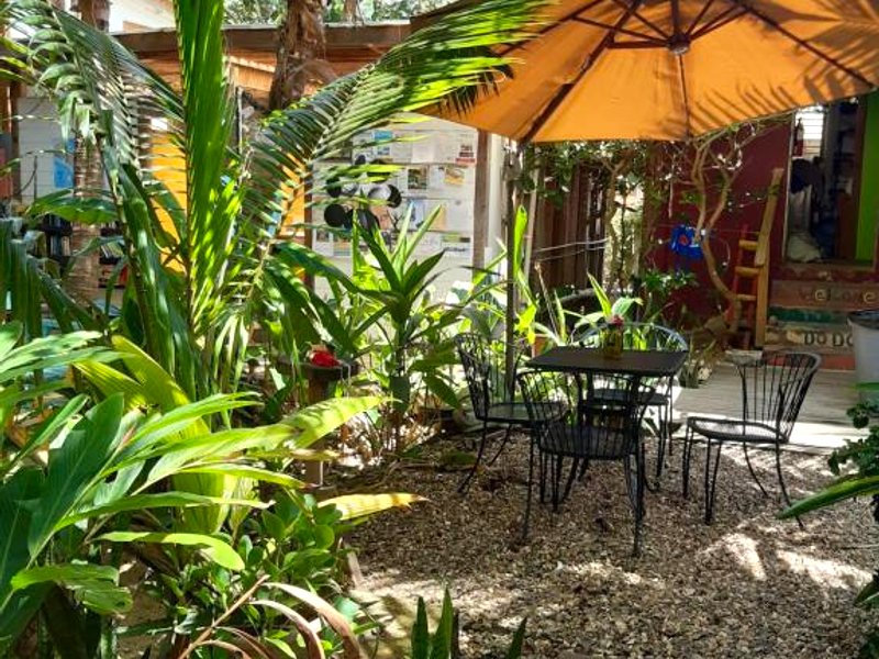 The Funky Dodo Backpackers Hostelの写真