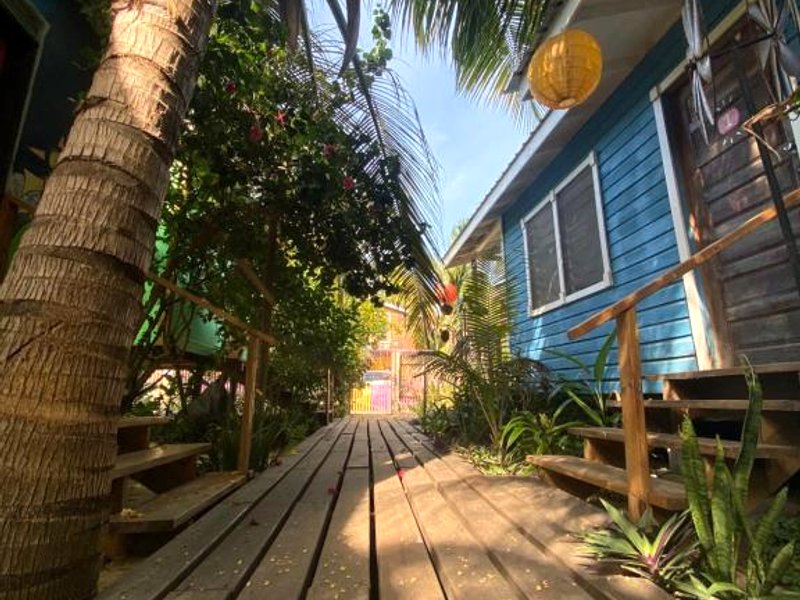 The Funky Dodo Backpackers Hostelの写真