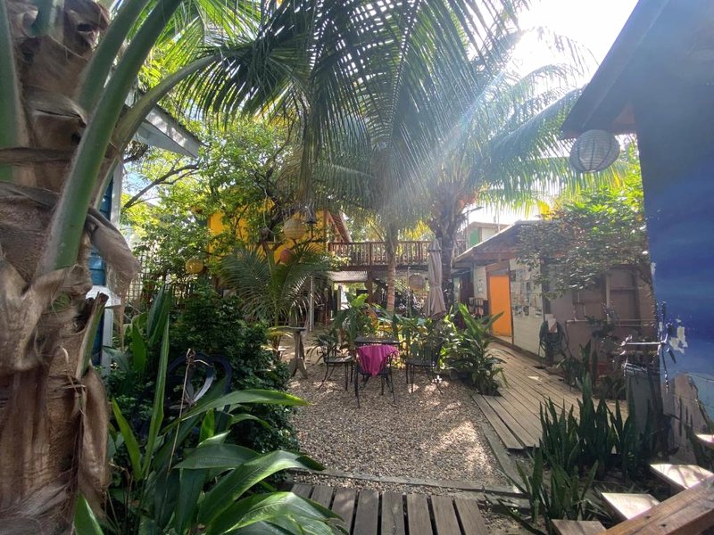 The Funky Dodo Backpackers Hostelの写真