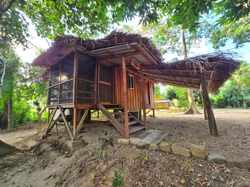 Cotton Tree Cabin at Freshwater Creek Cabanasの写真