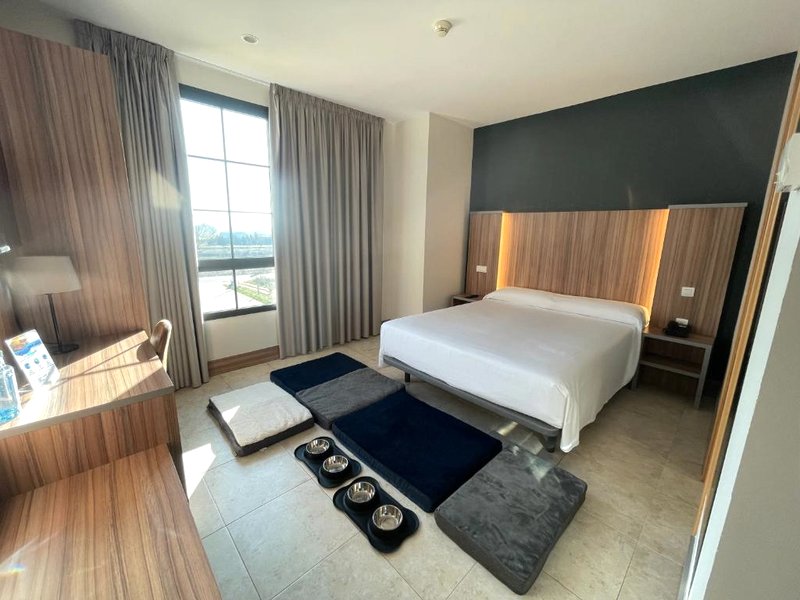 Hotel Camino Realの写真