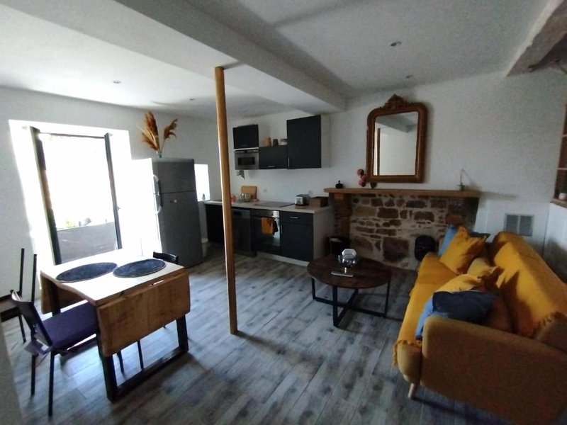 Trévoux: loft ravissant avec terrasse (Trevoux: loft ravissant avec terrasse)の写真