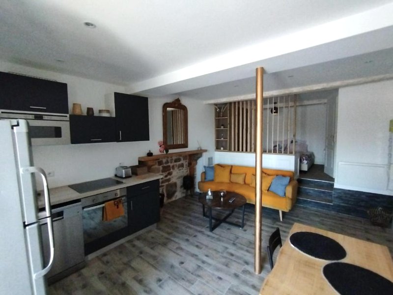 Trévoux: loft ravissant avec terrasse (Trevoux: loft ravissant avec terrasse)の写真