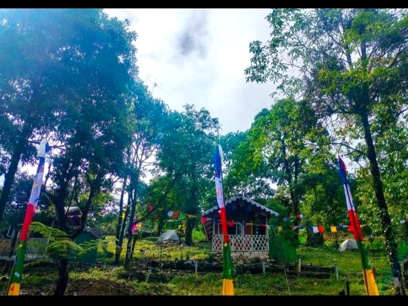 The Jhandi Forest Camping & huts の写真