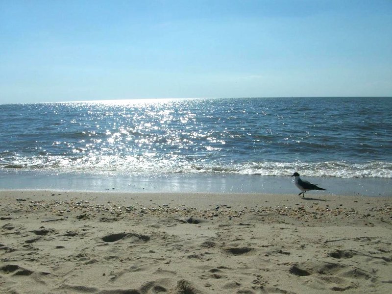 Boardwalk Beach Innの写真