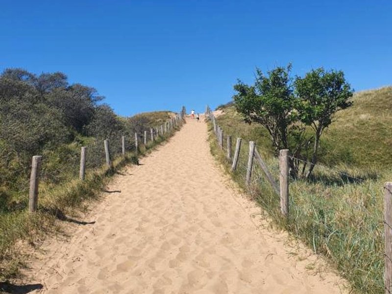 Hotel Bloemendaal by BHCの写真