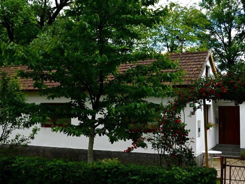 Una Rosa Hostelの写真