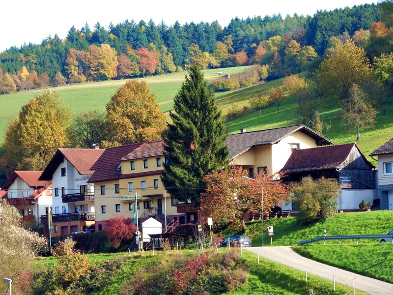 Hotel Gasthof Zur Kroneの写真