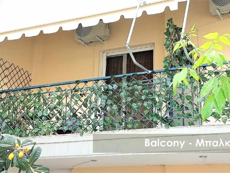 Efi Studio 4 Lamiaの写真