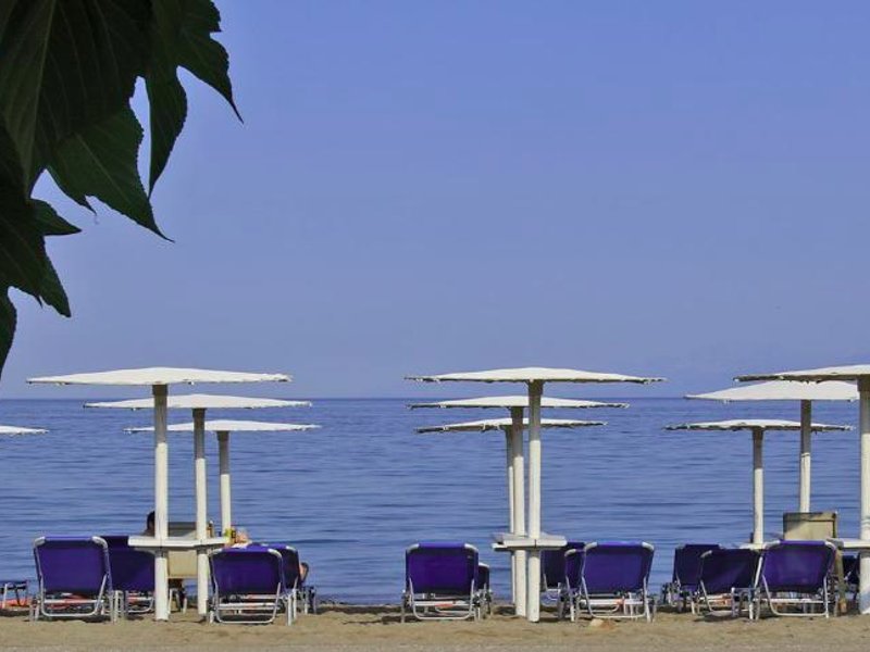 Oasis by the Seaの写真