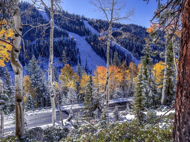 DeLano Motel & RV Park Beaverの写真