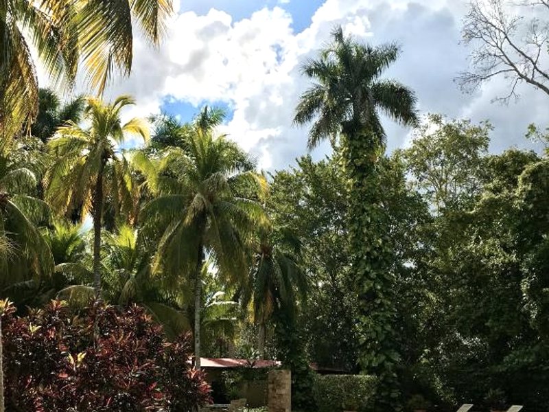 Hacienda Chichen Resort and Yaxkin Spaの写真