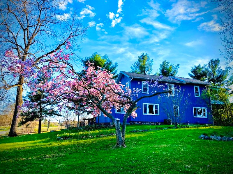 Inn Between the Lakesの写真
