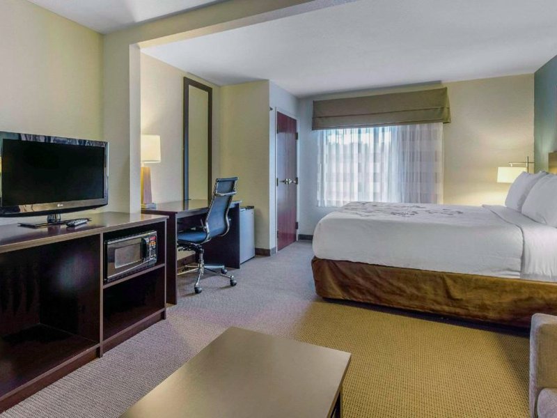 スリープ イン&スイーツ オーバーン キャンパス エリア I 85 (Sleep Inn & Suites Auburn Campus Area I-85)の写真