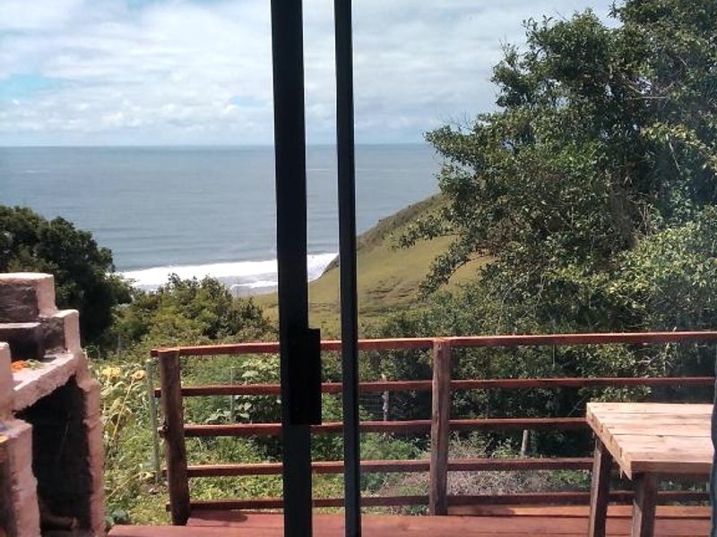 ［コーヒー ベイ］一軒家（40m²）｜ 1ベッドルーム／1バスルーム (Peaceful Full Equip Cottage OceanView+ Bfast+wi-fi)の写真
