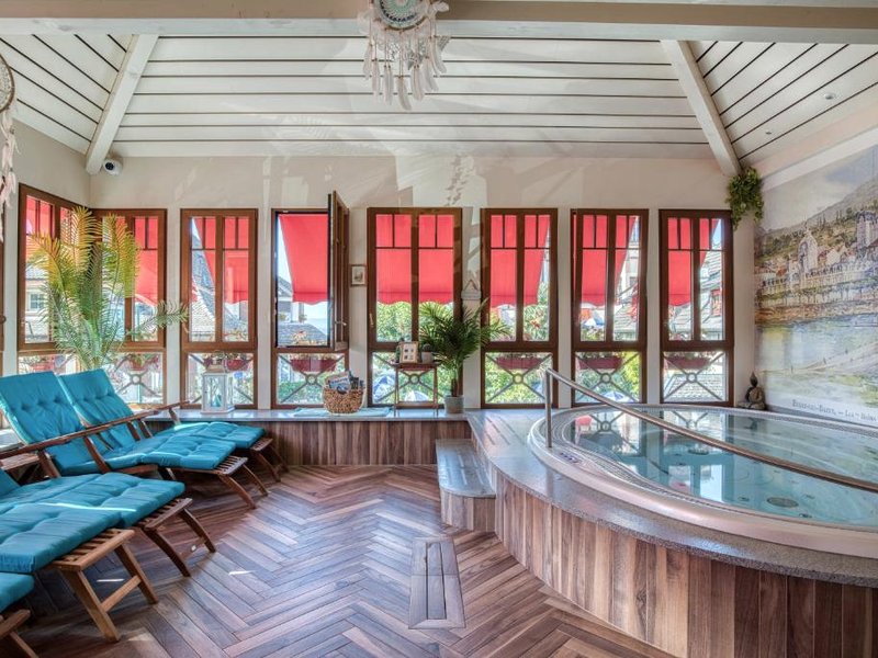 レ シーニュ (Les Cygnes)の写真