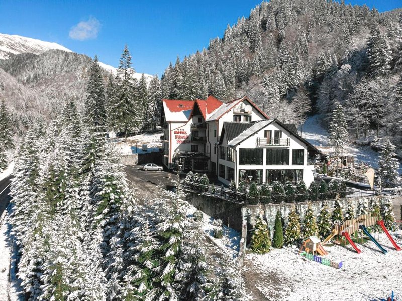Piscul Negru Hotel - Transfagarasanの写真