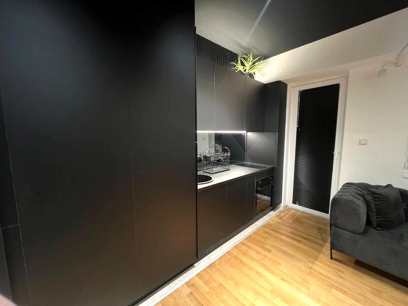 Demo Apartments Black IIの写真