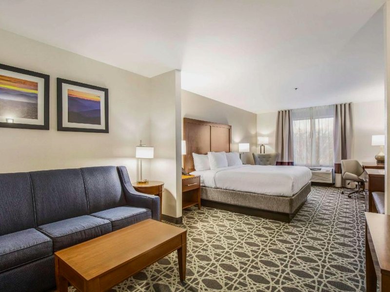 Comfort Inn & Suitesの写真