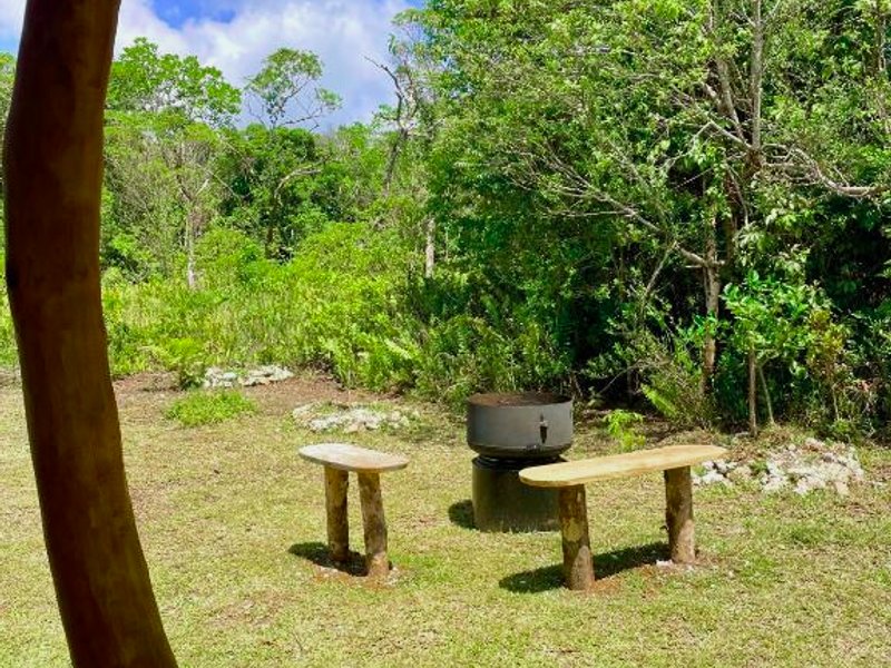Ô Naturel Lodge Lifou (O Naturel Lodge Lifou)の写真