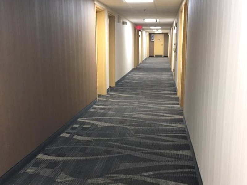 フローラル パーク モーター ロッジ (Floral Park Motor Lodge)の写真