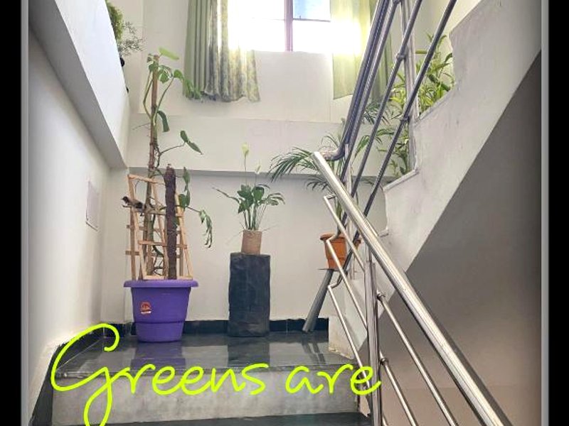 Annapurna Homestayの写真