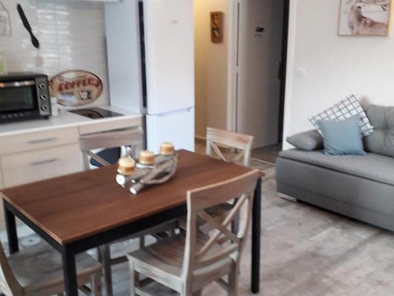 Enclos savoyard Appartement meublé 1chambre 1 canapé lits 3personnes (Enclos savoyard Appartement meuble 1chambre 1 canape lits 3personnes)の写真