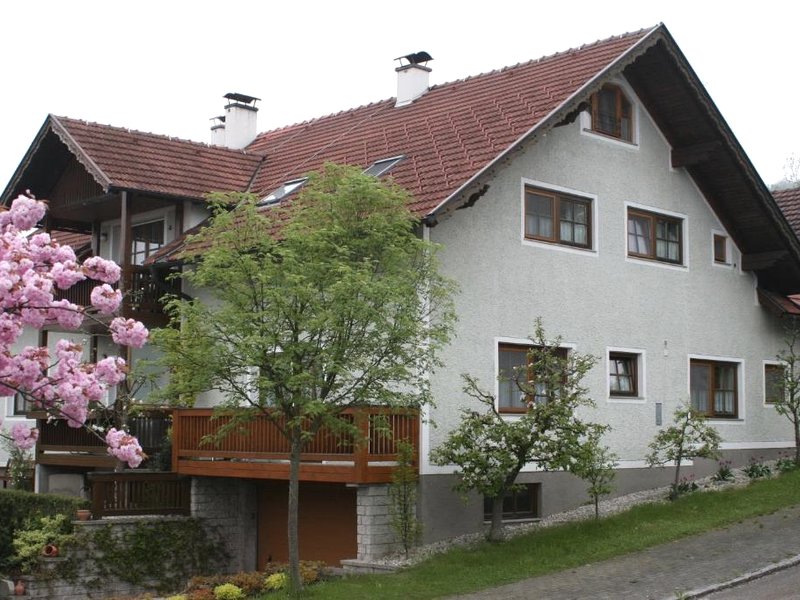 Pension Wengerの写真