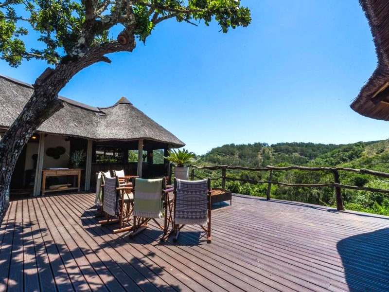 Lalibela Game Reserve Tree Tops Safari Lodgeの写真