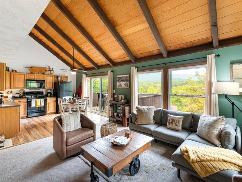 No Dog Fees - Dog Friendly 3BR 2BA with Loft and Mountain Views - Near Bryce Resort in Basye, VAの写真