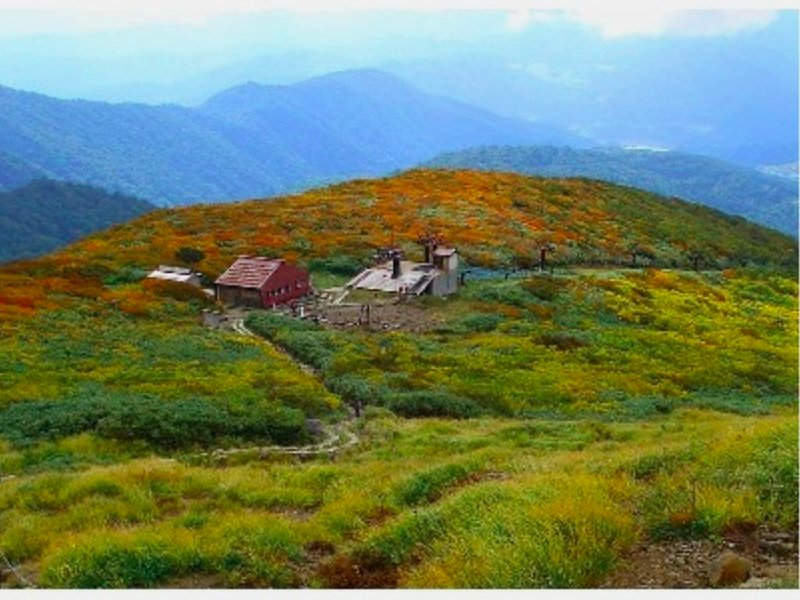 日本秘湯を守る会【公式ＷＥＢ専用】まいづるや (Maizuruya)の写真