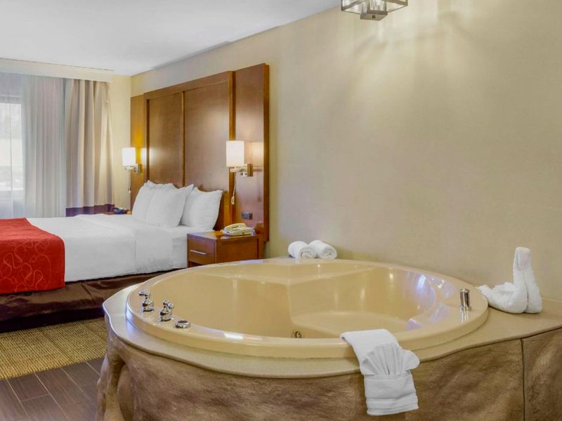 コンフォート スイーツ オークブルック テラス ニア オークブルック センター (Comfort Suites Oakbrook Terrace near Oakbrook Center)の写真